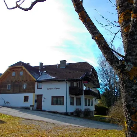 Gasthaus Gruber * تامسويغ